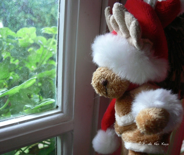 Waiting for Christmas